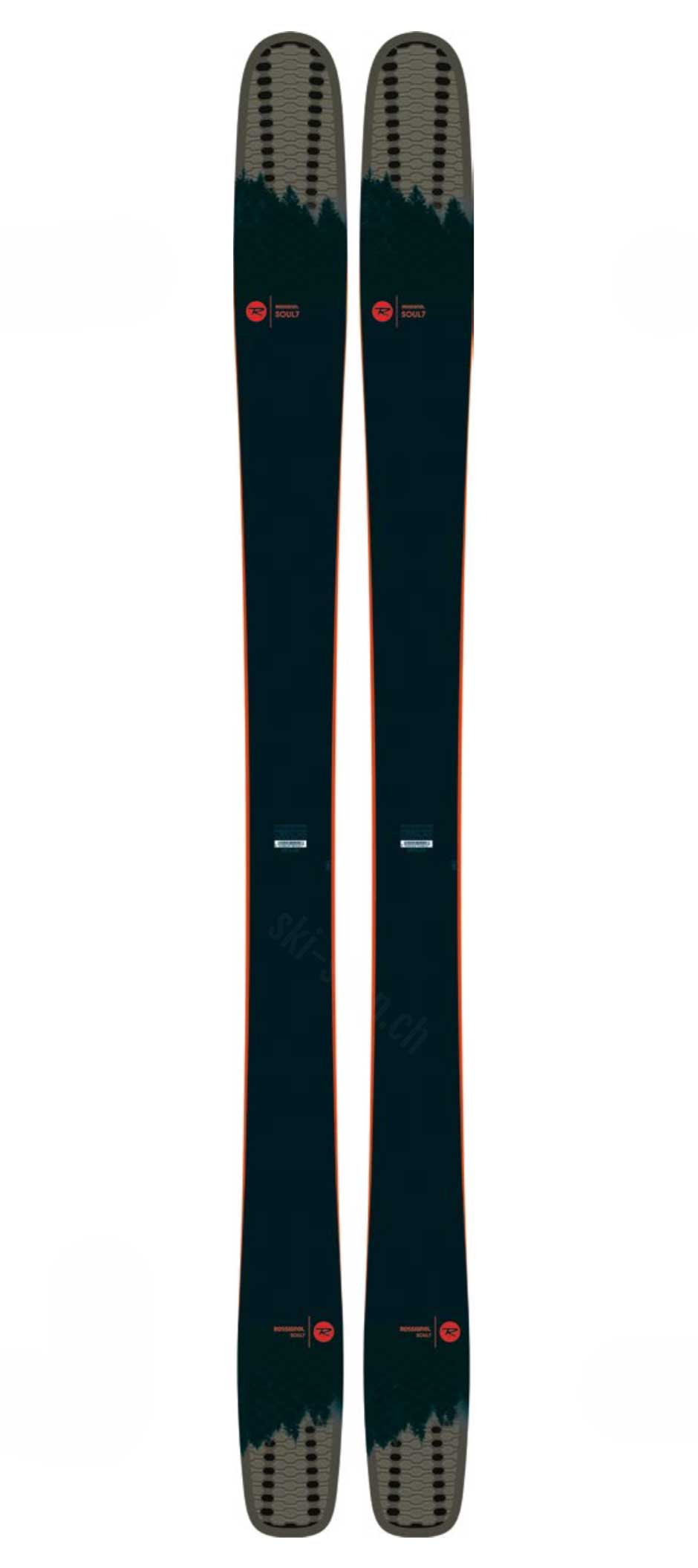 Zwei Rossignol Soul 7 HD Ski, von oben fotografiert, mit dunkelblauem Korpus und grauem Schaufel- und Endbereich.