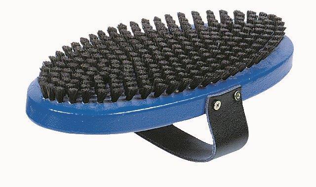 Ovale Rosshaarbürste mit blauem Griff und schwarzen Borsten. Lederband zur Handbefestigung.