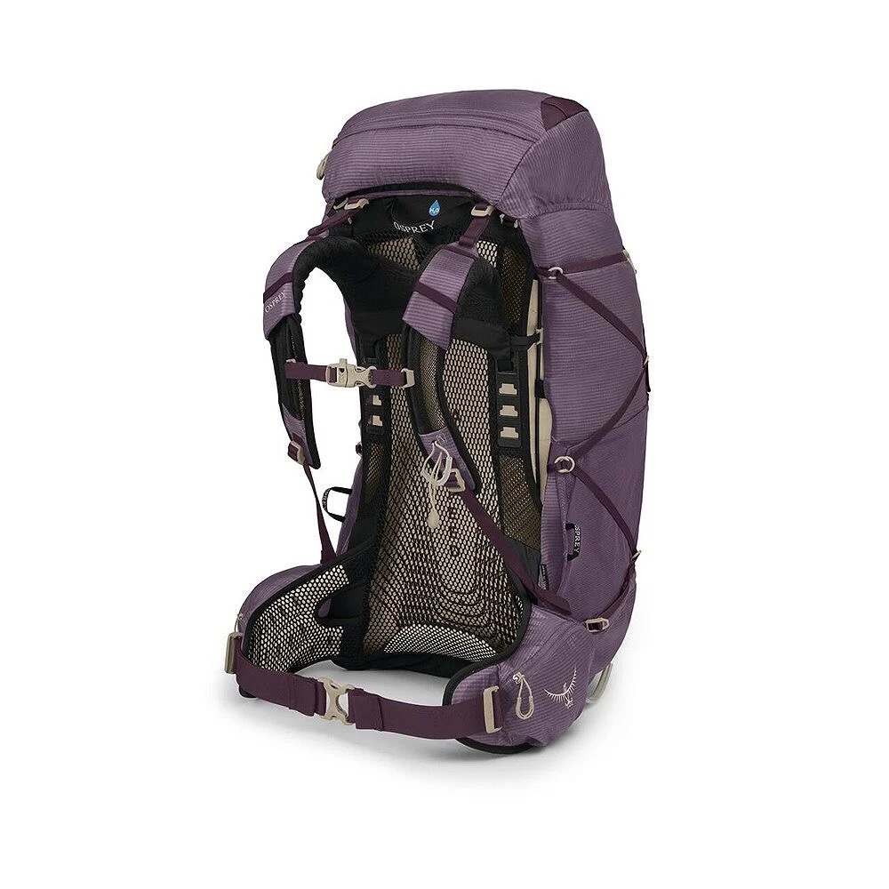 Violetter Osprey-Trekkingrucksack, Rückansicht, mit gut belüftetem Mesh-Rückensystem in Beige/Schwarz. Gepolsterte Schulter- und Hüftgurte, Verstellriemen/Schnallen in dunklem Violett, Kompressionsriemen. Logo am Deckel und an den Gurten.