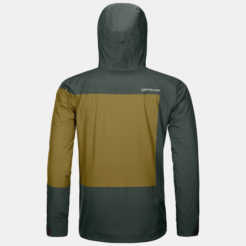 The Ortovox 3L Deep Shell Jacket in Green Pine from the back, with hood and color block design.