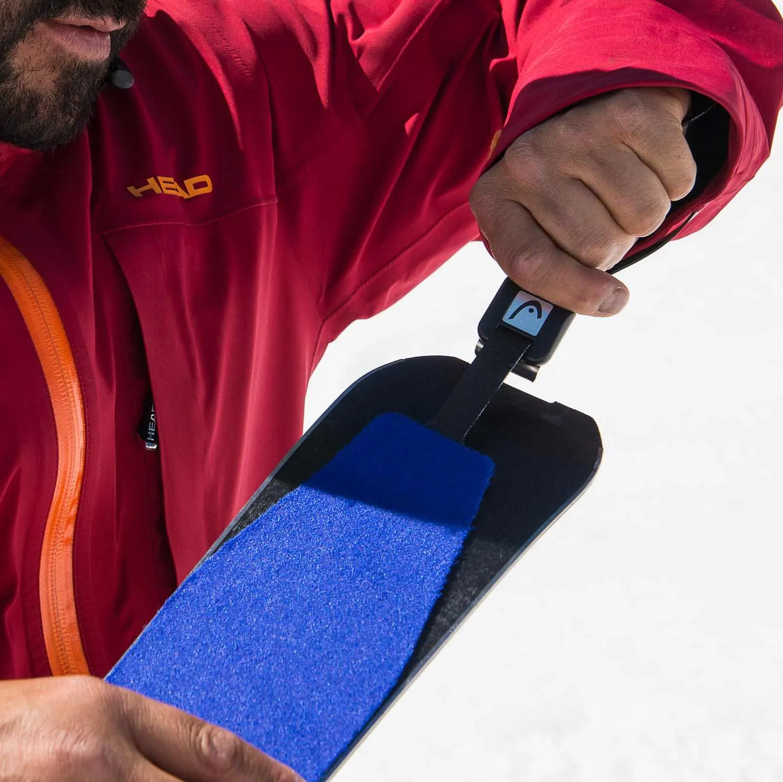Close-up: Touring ski with blue fur is held by a person in a red Head anorak.