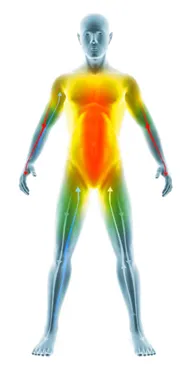 Figura umana la cui parte superiore del corpo, lo stomaco e le braccia sono evidenziati in giallo e rosso. Le frecce blu indicano le braccia e le gambe.