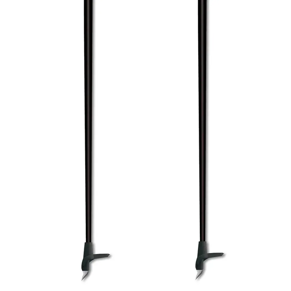 Fischer XC Cruiser Langlaufstöcke spitze