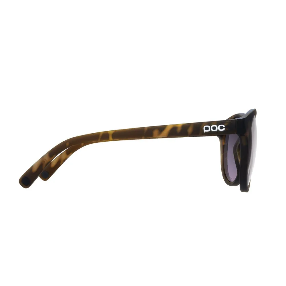 Vista laterale degli occhiali da sole POC Know Tortoise Brown, montatura in look tartaruga con logo sull'asta.