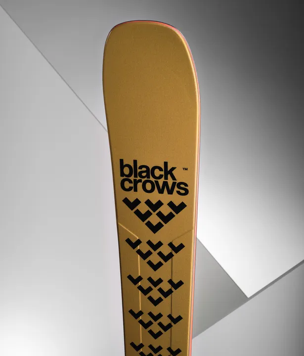 Detailansicht des Black Crows Justis Skis, goldfarben mit schwarzem Logo und grafischen Elementen.