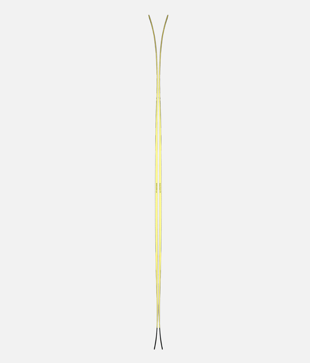 Frontale Ansicht des Black Crows Solis Skis mit gelbem Design vor neutralem Hintergrund.