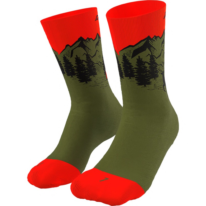 Zwei Dynafit Stay Fast SK Socken in Winter Moss mit Bergmotiv, rotem Bund und Zehen, Outdoor-Bekleidung.