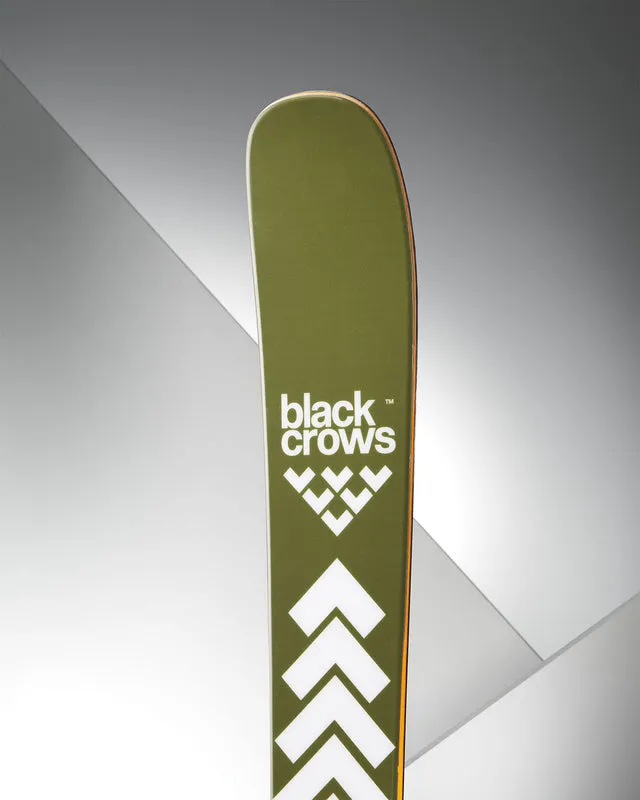 Sci verde oliva con logo "Black Crows" bianco e frecce su sfondo grigio.