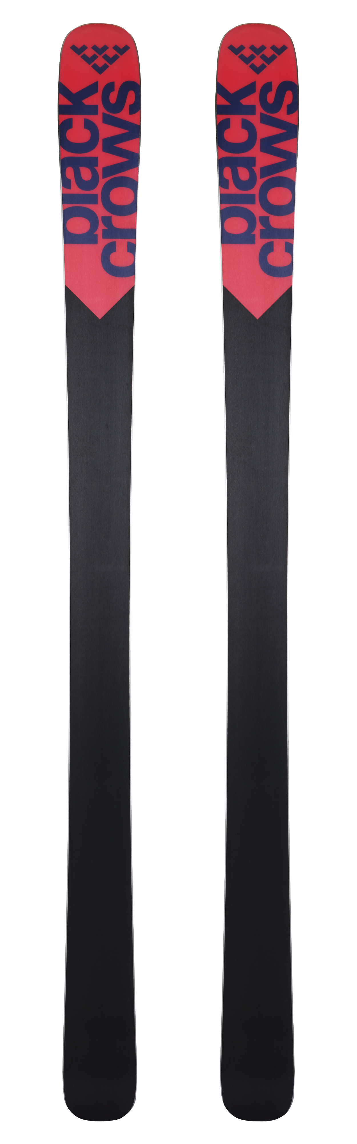 Zwei Black Crows Camox Ski, rot-schwarzes Design, blaue Schriftzüge, Skienden zeigen nach oben.