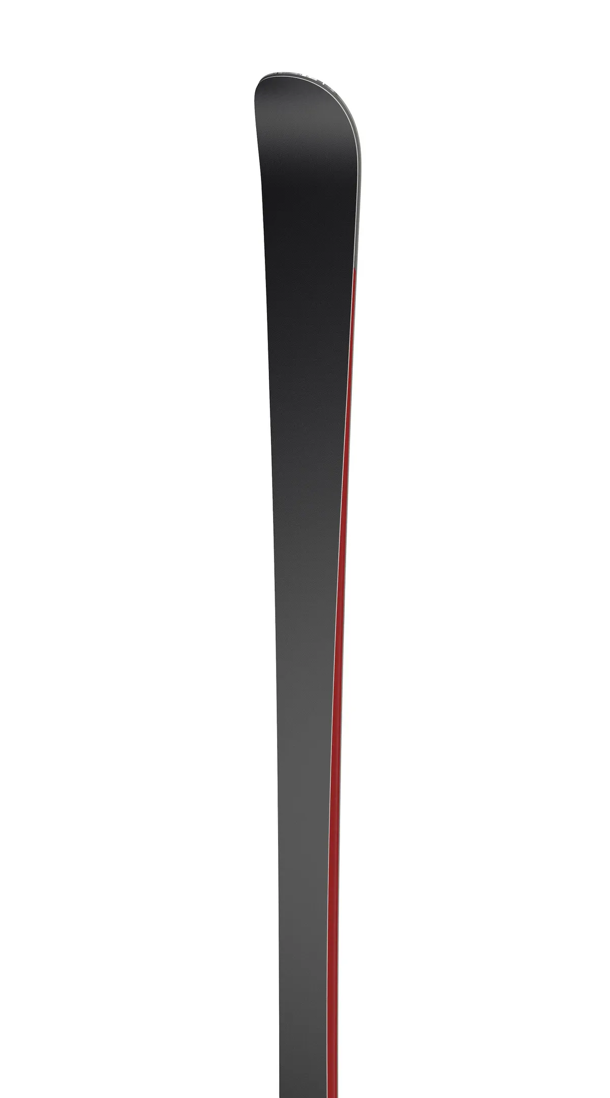 Detailaufnahme der Spitze eines Ramser RED SL Skis, grau mit rotem Rand.
