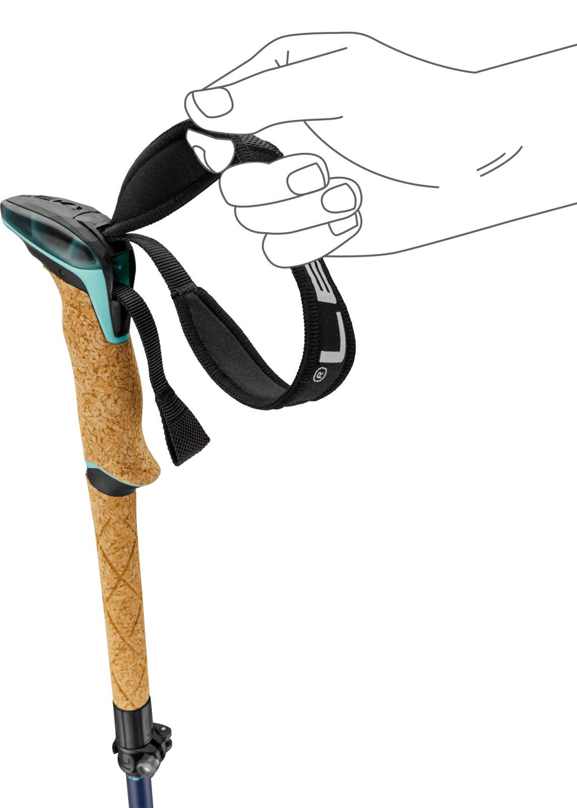 Main esquissée tenant la dragonne noire d'un bâton de trekking avec poignée en liège et accents turquoises.